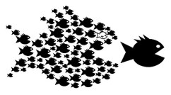 4434986188_b8b5e00a1e